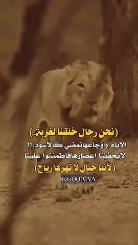 #لايك#اكس #بلوررر #مجنون_ردفان