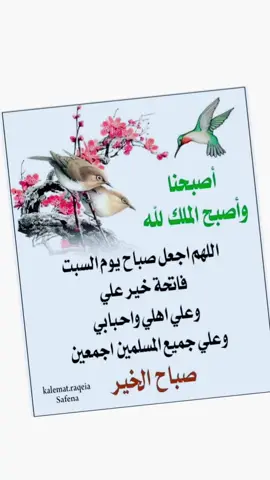 #أصبحنا_وأصبح_الملك_لله_الحمدلله #أصبحنا #أصبحنا_وأصبح_الملك_لله #تيكتوك #ترندات_تيك #ردد #ترندات #يارب #عاء #عاء #لاحول_ولا_قوة_الا_بالله #ترند_تيك_توك #تيكتوك