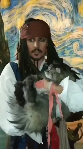 Meow? #Cat #Kitty #Tiger #JackSparrow #JohnnyDepp