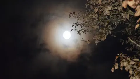 Beautiful Girl // Jose Mari Chan #lyrics #foryoupage #music