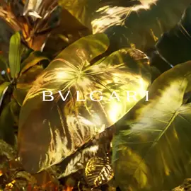 #Parfum#ətir#bvlgary#tygar#still#brend