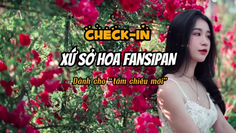Hoa trên sân ga cap treo đang nở rộ, lên Sapa ngay thôi #sapa #fansipan #sunworlfansipan