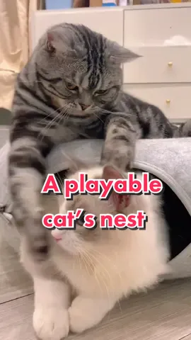 A playable cat’s nest😍😍#cat #catsoftiktok#pet #catnest #petsupplies