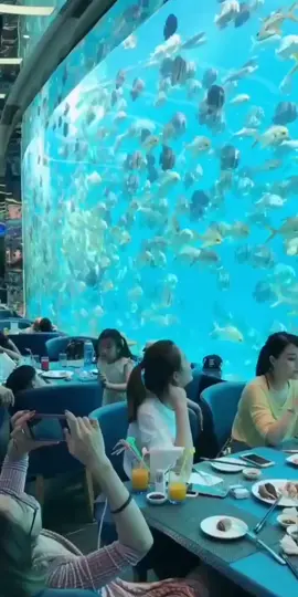 Sanya Seabed Restaurant 🐠 Hainan, China 🇨🇳#chinatiktok #scenery #traveltiktok #viral #waterfall
