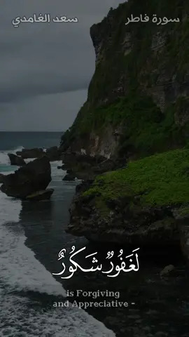 وقالوا الحمدلله الذي أذهب عنا الحزن - #سعد_الغامدي#قرآن #liak