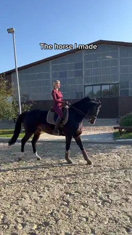 And I’ll do it again 😎 IG:annchen.augustine #foryou #fy #equestrian