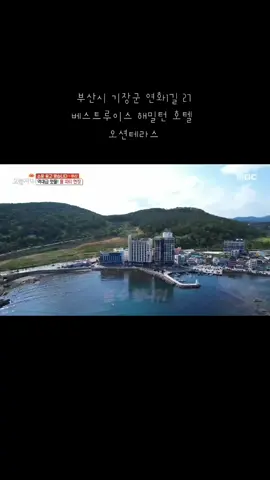 #호털#풀파티 #베스트루이스해밀턴호텔오션테라스 #기장