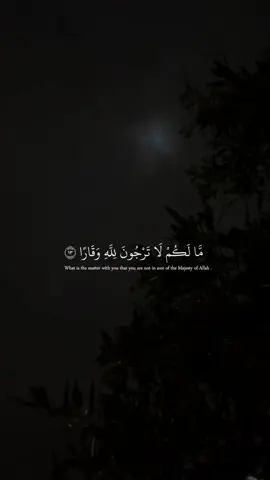 #quran #ياسر_الدوسري #علمً_ينتفع_به🖤 #تصميمي