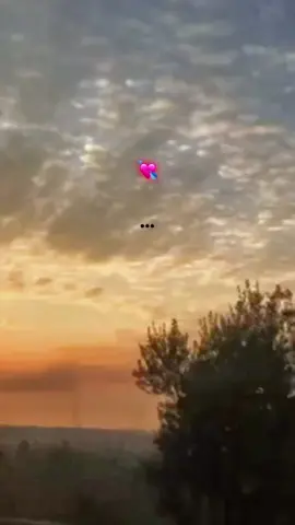 34 amor y mafia- JC Reyes y Camin💘