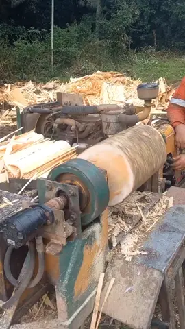 bit of log peeling for the woodchop#wood #woodchopping #fyp
