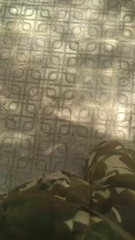 #معسكر #العسكري #الجيشالجزائري #عشاق_الجيش_الشعبي_الوطني_الجزائري❤🇩🇿💪 #المعسكري #البسكري___07 #باتنة