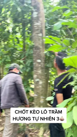 CHỐT TRƯỚC ĐÃ LỖ LÃI TUỲ DUYÊN