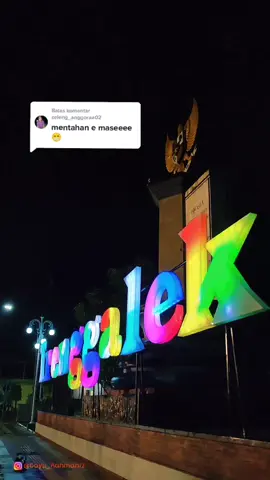 Balas @celeng_anggoraa02 ini bro mentahnya #trenggalek #fyp #trenggalekcidro #alunaluntrenggalek #bayurahman12 #jowostory #jawapride