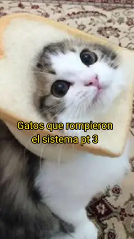 me gustó más el que dice ‘nada jugar’