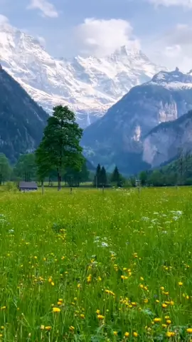 #nature #peace #peaceful #scenery #منظره #طبیعت #آرامش #موزیک