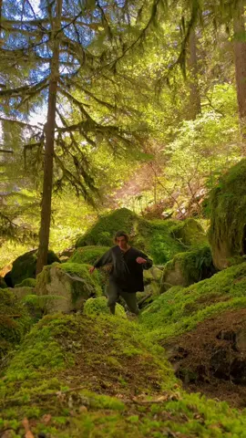 went on an adventure in the forest, this is what i saw🧙🏼‍♂️