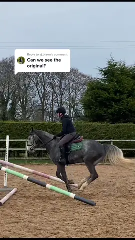 Reply to @sj.blaen here’s the original! Our 3rd time ever jumping together😇 #horsesoftiktok #horselover #horseriding #equestrian