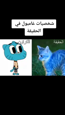 #cartoonnetwork #gumball #foryou #yassinechak