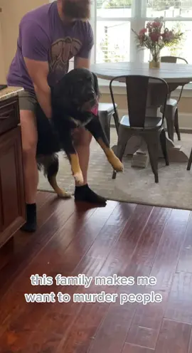 it’s an everyday ordeal #dogbaby #dogsoftiktok #petowner #dogbaby