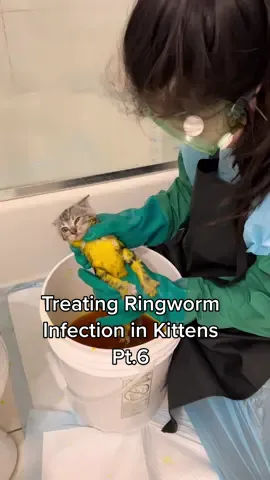 Should I be worried it doesn’t smell like anything anymore 😅 Ringworm treatment Pt.6, more lime dipping! #fosterkitten #fyp #foryoupage #fypシ#fosterkittensoftiktok #animals #animallover #kittens #kittensoftiktok #kittenrescue #spring #animalwelfare #neonatalkitten #seehergreatness #justababy #tipsandtricks #whenwomenwin #PetsOfTikTok #ringworm #ringwormtreatment #skincareroutine #dermatology #topgunmode #spotlightapi