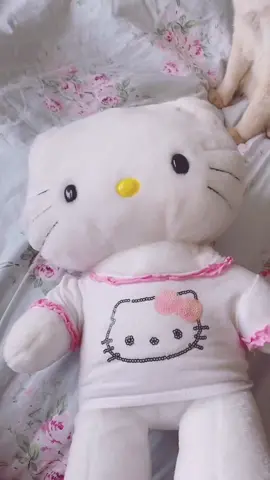 I can’t believe I found the build a bear hello kitty 🥺 missing it’s bow tho. #hellokitty #hellokittyhaul #hellokittybuildabear #buildabear #fivebelow #fivebelowfinds #fivebelowhaul #hellokittyfind #hellokittyfivebelow