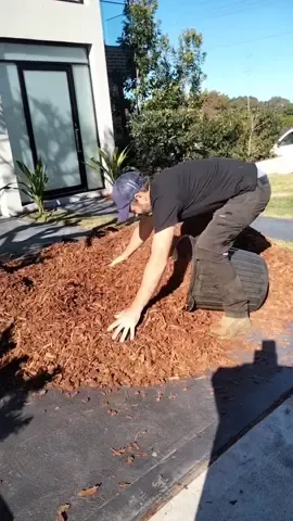 Anyone else do this?  #gardening101 #gardenproject #landscape #fyp #Home #viral #nathanslawnsandgardens #oddlysatisfying