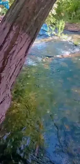 #سيران #فوق_النخل_فوق #مي #خضار #مشاوي #رفقات #عائلة #اغاني