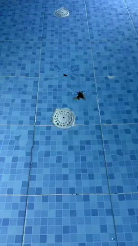 You spin me right round… 😂