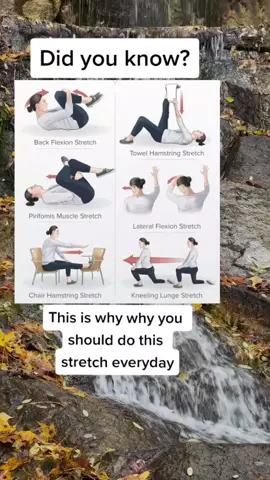 Why you shoud do this strecth early daily #DidYouKnow #didyouknowfacts #moreyouknow #healthfacts #foodfacts #foryou #fyp #stretch