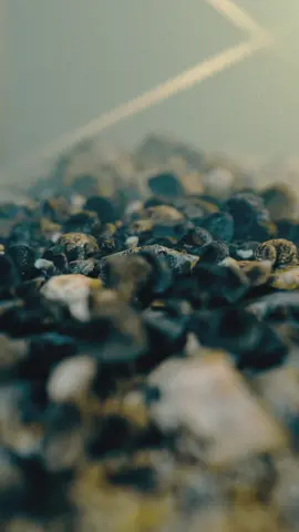 Geological ...#mograph #c4d #redshift #animation #loop #rocks #geology #redshift3d #cinema4d #design #digitalart #3dart #characterdesign #shortfilm #animatedloop