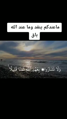 @qwertqwrrqwerqwerq #القران_الكريم #بصوت #اشيخ#على #جابر