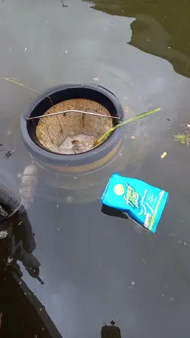What is the seabin? It is exactly what it is called, a sea bin. It collects any litter and oil that is in the surrounding area to project the marina wildlife and environment. #fyp #seabin #litter #whitehaven #cumbria #lakedistrict #cleaneroceans #sellafield #satisfying #foryoupage #trending