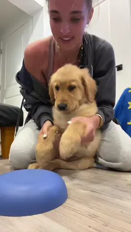 Definition of a good boy😫