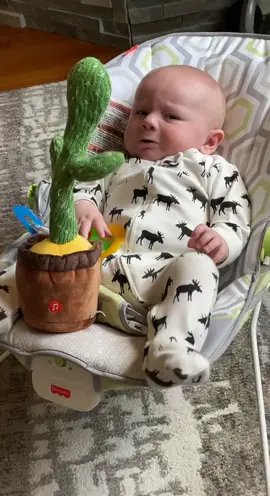 #talkingcactus🌵 #cactustoy #cactus #babyreacts #baby #cranky