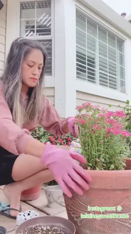 #mylife, #gardeningismylove, #peacefullifestyles, #pinaynurselifeinusa, #pinayusatiktoker🇵🇭r🇺🇸