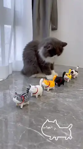 Walking cat toy #apollobox #uniquegift #cat #tiktokmademebuyit #amazonfinds #funny