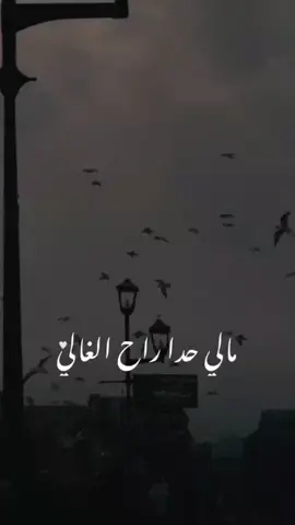 #مالي_حدا_راح_لغالي💔                              #اگسبلوہہر #لايگ #تعليق                                #فلسطين🇵🇸 #جنين_نابلس_طولكرم_رام_الله_فلسطين