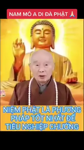 NIỆM PHẬT TIÊU NGHIỆP. THÂN TÂM THANH TỊNH, NGHIỆP CHƯỚNG SẼ TIÊU. NAM MÔ A DI ĐÀ PHẬT 🙏🏻