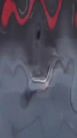 DERPY DANCE !!1!-!1!1!!2!1!1!1!  #mlp #mylittlepony #brony #mylittlebrony #derpy #derpyhooves #ditzydoo #muffins #derpysmuffins #derpyhooveslvr #furry #furryfandom #fursona #furrylover #mlpfurry #mylittlepontfurry #ponyville #fyp #foryou #foryoupage #fup #foru #forupage #fy #fu #xyzbca  #fyp #foryou #foryoupage #fup #foru #forupage #roblox #robloxtiktok #robloxtiktoker #dh #dahood #dahoodian #robloxdahoodian #furry #furryfandom #furryroblox #robloxfurry #freecuddies #sshf #supersuperhappyface #korblox #korbloxdeathspeaker #korbloxdeathspeakerleg #korbloxleg #robloxfitideas #stealfits