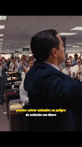 El lobo de wall street