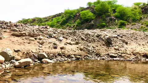 #borama #somaliland #somali #daraymacaane_boorama