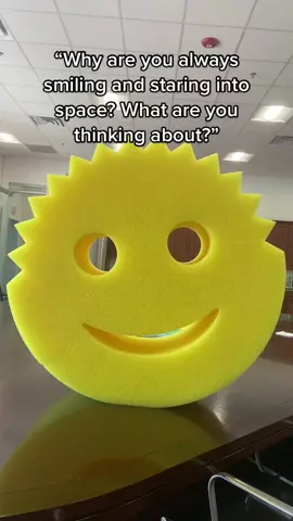 Oh the memories :’) @duolingo #scrubdaddy #smile #CleanTok #cleaningtiktok #americasfavoritesponge