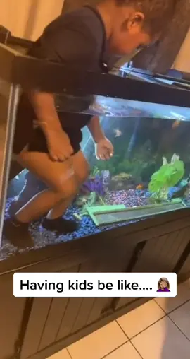 Elisha really wanted to swim with the 🐠s .🤦🏽‍♀️ #fyp  #kidstiktok #kids