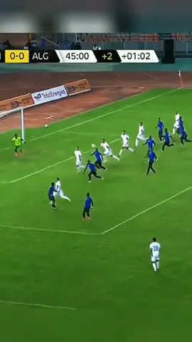 #المنتخب_الوطني_الجزائري🇩🇿💕 #الفريق_الوطني_الجزائري #المنتخب_الجزائري #جمال_بلماضي #عمورة #الجزائر #كرة_قدم #🇩🇿 #algeria