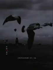 يا طير الموده اريد اطير واياك على ديار المحبه ارجوك وديني 🙏💔💔💔🙏