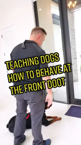 Teaching dogs how to behave at the front door around guest’s 12. #roytweiler #canecorso #cute #doberman #dog #doglovers #dogoftheday #dogs #dogsofinstagram #dogstagram #handmade #instadog #instagram #Love #mastiff #pet