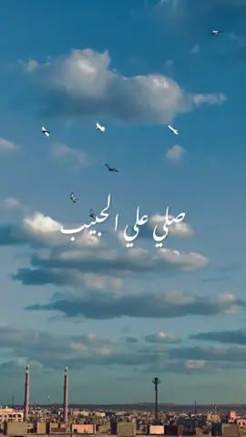صلي علي الحبيب..قلبك يطيب🥰✨🕊 يارب..🤲✨🕌.            #صلي_علي_النبي #reels__tiktok #follow #فيديوهات #explor #fypシ #fypシ #ياربي #تبعوني #explore #فيديو #يالله_ارحمنا_برحمتك_ياارحم_الراحمين #followm #يارب #reels #video #reels__tiktok #اللهم #اللهم_امين #صلي_علي_النبي  #صلي_علي_الحبيب