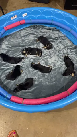 1 week old!