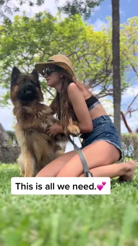 This is You, this is Me. This is all we need. 💕🐺💕 #germanshepherd #Love #dogsoftiktok