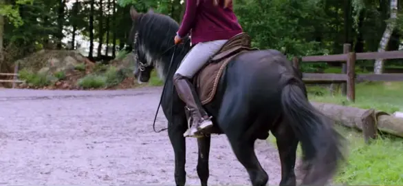 Perdòn 🥺#foryou #foryoupage #ostwind #ostwind2